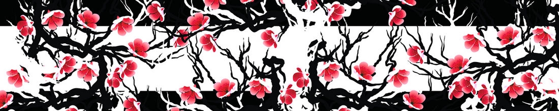 skinali 2527